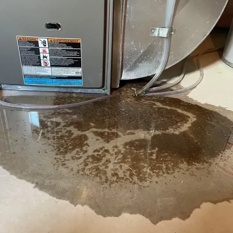 Appliance Leak Cleanup in Oakland, MO